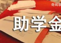 遭大型犬咬傷男童家屬眾籌10萬元