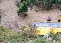 湖南一校車墜下山坡 有學生受傷