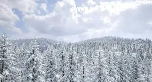 哈爾濱11月6日降雪量突破歷史極值