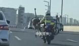 鴕鳥在街頭狂奔 交警:跑了幾十公里