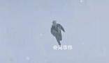 南方穿短袖東北下雪了 一邊艷陽高照一邊大雪紛飛