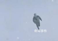 南方穿短袖東北下雪了 一邊艷陽高照一邊大雪紛飛