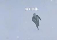 南方室友第一次見東北大雪激動撒歡