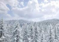 哈爾濱11月6日降雪量突破歷史極值
