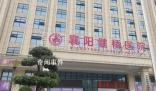 人民網評院長販賣嬰兒出生證明