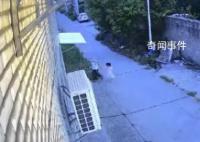 女童遭未滿12周歲男孩殺害?警方回應