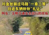 金絲猴與過(guò)路司機(jī)相互禮讓 上演了一幕人與自然和諧相處的暖心畫(huà)面
