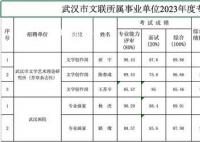 班宇等多名作家考取武漢文聯編制