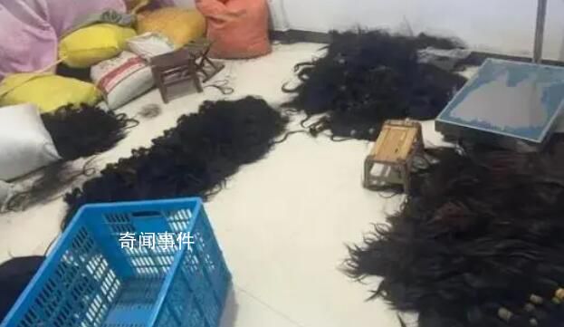 價值70萬頭發被盜民警48小時追回