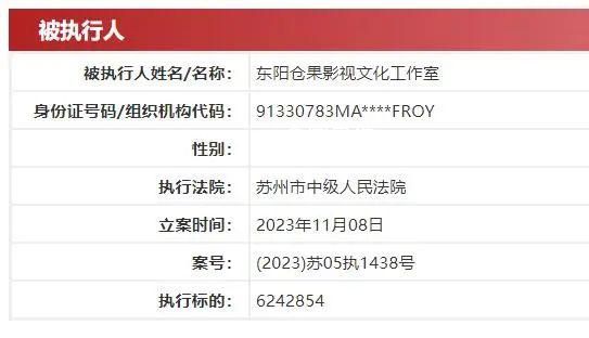 許晴獨(dú)資工作室被執(zhí)行624萬