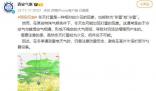 誰家下雪先打雷啊 冬天打雷是一種相對較少見的現象