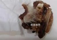 重慶一小學食堂出現鼠頭系謠言 結果將及時向社會公布