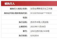 許晴獨(dú)資工作室被執(zhí)行624萬(wàn)