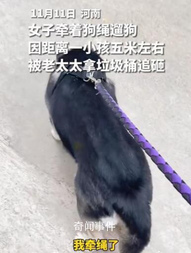 女子遛狗嚇哭小孩被老太追砸 女子被嚇得邊哭邊跑