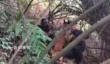 老人深山走失30小時被警犬找到