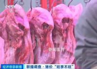 豬肉價格大降超40% 新鮮白條豬銷量占比近8成
