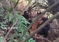 老人深山走失30小時被警犬找到
