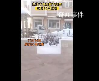 東北大爺把積雪砌成20米城墻 網友評論：造個型還哈哈哈