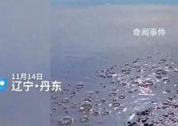 鴨綠江邊不停冒泡泡?地震局回應