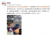 游客在麗江花168元騎馬變成騎騾子 目前沒有新的解決方案