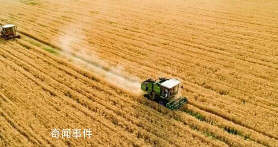 筑牢中國糧食安全“壓艙石” 全國秋糧收獲進度達96.2%