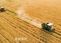 筑牢中國糧食安全“壓艙石” 全國秋糧收獲進度達96.2%