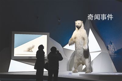 共同家園 展覽在北京中國國家博物館正式開展