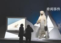 共同家園 展覽在北京中國國家博物館正式開展