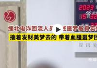 緬北電詐回流人員自述噩夢般經歷 網友：遵紀守法才是第一正道