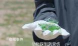 胡歌劉濤爭論用完的手紙是否帶走