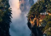 遍地都是韓國人 張家界有被“孝”到