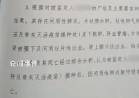 男嬰打疫苗后離世 尸檢報告已出