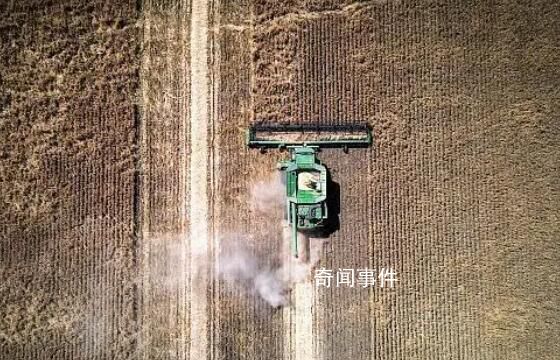 澳大利亞大麥已重返中國市場 中國10月自澳進(jìn)口31.37萬噸大麥