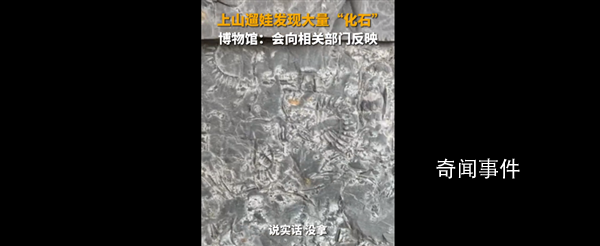 5歲男孩發現5億年前古生物化石 這也引發了網友的熱議