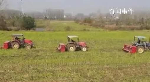 全國秋冬種進度已超98% 冬小麥面積將繼續(xù)保持穩(wěn)定