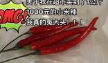 深圳一女子買菜遇到“辣椒刺客”