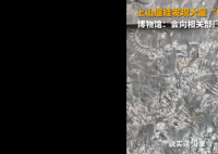 5歲男孩發現5億年前古生物化石 這也引發了網友的熱議
