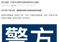 斗魚CEO陳少杰涉嫌開設(shè)賭場(chǎng)罪被捕