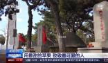 沈陽(yáng)市民帶1800個(gè)蘋果祭掃英烈 山河無(wú)恙英魂安息