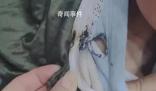 天降煙頭6歲男童棉衣被燙穿 差點燒傷到了皮膚