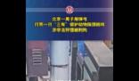 男子打死一只珠頸斑鳩被刑拘 頂風作案最終自食苦果
