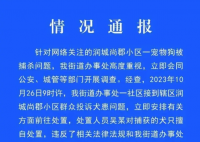 寵物犬被抓走宰殺 處置人員被行拘