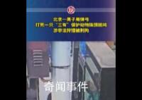 男子打死一只珠頸斑鳩被刑拘 頂風作案最終自食苦果