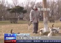 遼寧盤錦40多只貓咪組隊守糧倉 呵護貓咪本性生態(tài)滅鼠