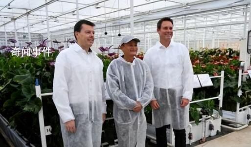 馬云前助理:馬家廚房不做預制菜
