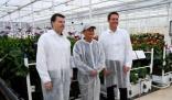 馬云前助理:馬家廚房不做預(yù)制菜