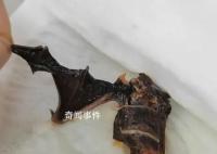 女子投訴楊國福麻辣燙吃出蝙蝠 真的是太無語了