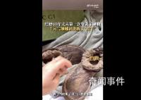 丈夫第一次刷鞋將千元靴變皮干 當時有點崩潰