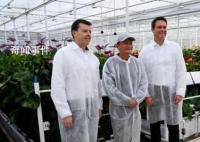馬云前助理:馬家廚房不做預制菜