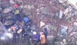 日本一棕熊尸體內(nèi)發(fā)現(xiàn)人體殘骸 驗尸后確認(rèn)為登山死亡的大學(xué)生